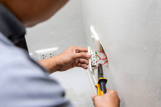 Best Electric Panel Repair  in Piednt, MO